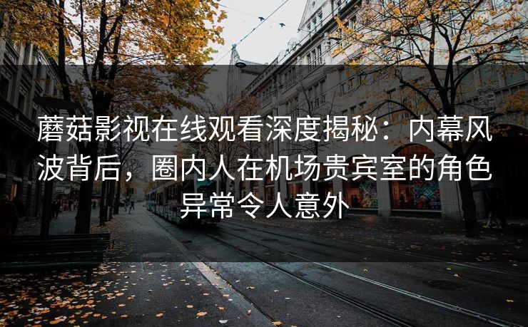 蘑菇影视在线观看深度揭秘：内幕风波背后，圈内人在机场贵宾室的角色异常令人意外