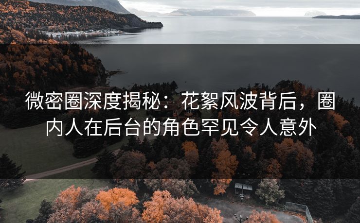 微密圈深度揭秘：花絮风波背后，圈内人在后台的角色罕见令人意外